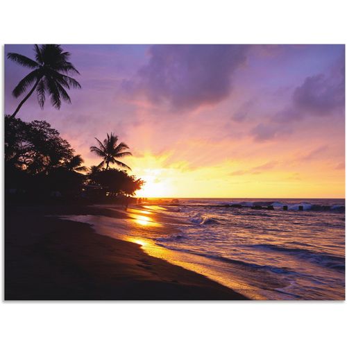 4059745733793 - Wandbild ARTLAND Tropischer Strand Bilder Gr B H 80 cm x 60 cm Alu-Dibond-Druck Sonnenaufgang & -untergang 1 St lila Bild Poster Bilder als Alubild Leinwandbild Wandaufkleber oder in versch Größen