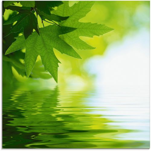 4055327033190 - Glasbild ARTLAND Grüne Blätter reflektieren im Wasser Bilder Gr B H 30 cm x 30 cm Blätter 1 St grün Glasbilder Bilder in verschiedenen Größen 4055327033190 - Glasbild ARTLAND Grüne Blätter reflektieren im Wasser Bilder Gr B H 30 cm x 30 cm Blätter 1 St grün Glasbilder Bilder in verschiedenen Größen