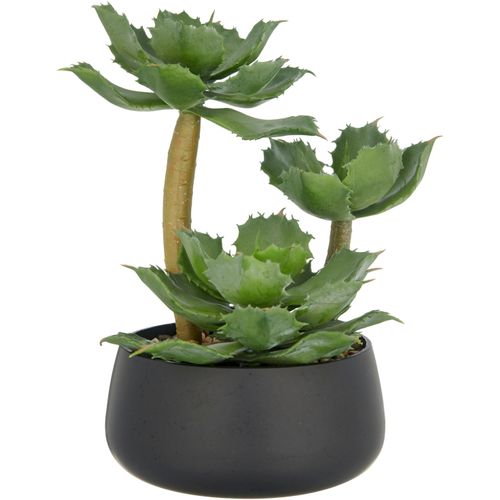 4064118326311 - Kunstpflanze CREATIV GREEN Echeveria grün H28cm Kunststoff Kunstpflanzen mit dekorativem Kies 4064118326311 - Kunstpflanze CREATIV GREEN Echeveria grün H28cm Kunststoff Kunstpflanzen mit dekorativem Kies