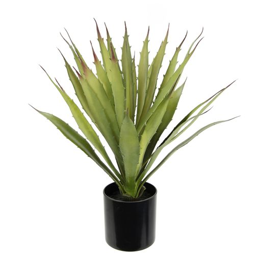 4019844765200 - Kunstpflanze IGEA Künstliche Agave Aloe Vera im Topf Kunstpflanze Kunstpflanzen Gr B H L 16 cm x 38 cm x 16 cm 1 St grün Künstliche Zimmerpflanzen Kaktus Kakteen 4019844765200 - Kunstpflanze IGEA Künstliche Agave Aloe Vera im Topf Kunstpflanze Kunstpflanzen Gr B H L 16 cm x 38 cm x 16 cm 1 St grün Künstliche Zimmerpflanzen Kaktus Kakteen