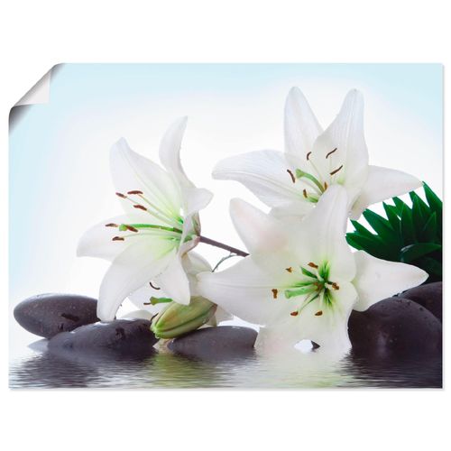4055327638029 - Wandbild ARTLAND Madonna-Lilien und Spasteine Bilder Gr B H 80 cm x 60 cm Poster Zen Querformat 1 St weiß Bild Leinwandbild Kunstdrucke Bilder als Alubild Leinwandbild Wandaufkleber oder Poster in versch Größen 4055327638029 - Wandbild ARTLAND Madonna-Lilien und Spasteine Bilder Gr B H 80 cm x 60 cm Poster Zen Querformat 1 St weiß Bild Leinwandbild Kunstdrucke Bilder als Alubild Leinwandbild Wandaufkleber oder Poster in versch Größen