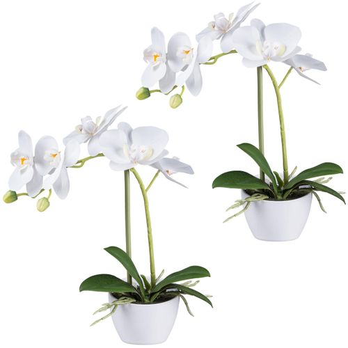 4064118240433 - Kunstorchidee CREATIV GREEN Orchidee Phalaenopsis weiß H33cm Kunststoff Kunstpflanzen im weißen Design-Topf 4064118240433 - Kunstorchidee CREATIV GREEN Orchidee Phalaenopsis weiß H33cm Kunststoff Kunstpflanzen im weißen Design-Topf