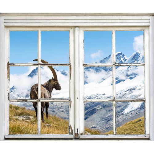 4049009083238 - Wandsticker QUEENCE Steinbock weiß T01cm Wandtattoos Wandsticker Wandbild selbstklebend 3D Fenster Steinbock