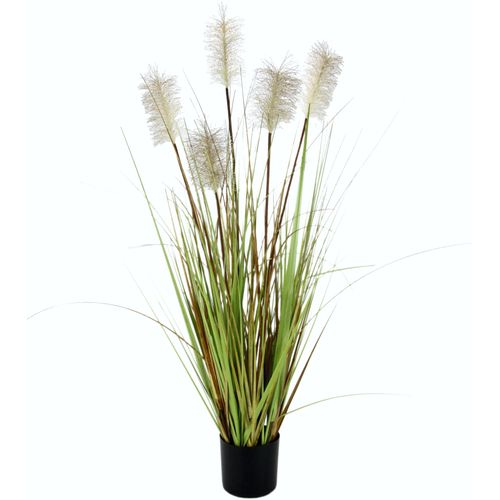4019844591045 - Kunstgras IGEA Pampasgras Kunstpflanzen Gr B H 28 cm x 90 cm 1 St beige (natur) Kunstgras Kunst-Gräser Kunstpflanzen im Kunststofftopf