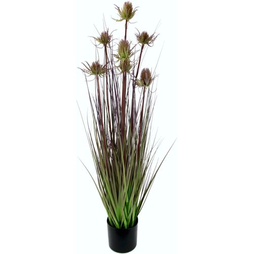 4019844751821 - Kunstgras IGEA Distelgras Kunstpflanzen Gr B H 20 cm x 90 cm 1 St rot (burgund) Kunstgras Kunst-Gräser Kunstpflanzen im Kunststofftopf 4019844751821 - Kunstgras IGEA Distelgras Kunstpflanzen Gr B H 20 cm x 90 cm 1 St rot (burgund) Kunstgras Kunst-Gräser Kunstpflanzen im Kunststofftopf