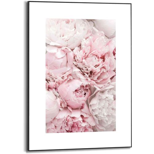 8714597598629 - Bild REINDERS Gerahmtes Pfingstrosen Blumen - Romantisch Bilder Gr B H 50 cm x 70 cm Blumen 1 St rosa Kunstdrucke