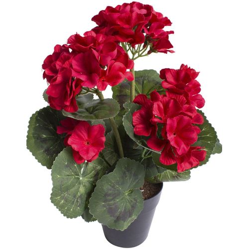 5415070704591 - Kunstblume BOTANIC-HAUS Geranienbusch mit 6 Blütenköpfen rot B22cm H30cm T22cm Ø22cm Kunststoff Kunstpflanzen 5415070704591 - Kunstblume BOTANIC-HAUS Geranienbusch mit 6 Blütenköpfen rot B22cm H30cm T22cm Ø22cm Kunststoff Kunstpflanzen