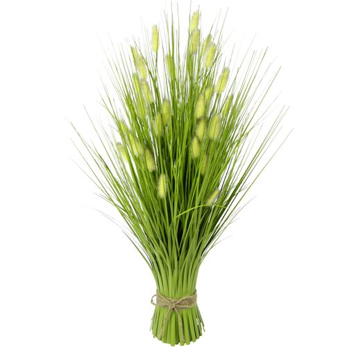 4019844777500 - Kunstgras IGEA Fuchsschwanz grün B30cm H60cm L30cm Obermaterial 90% Kunststoff 10% Polyester Kunstpflanzen Dekogras 4019844777500 - Kunstgras IGEA Fuchsschwanz grün B30cm H60cm L30cm Obermaterial 90% Kunststoff 10% Polyester Kunstpflanzen Dekogras