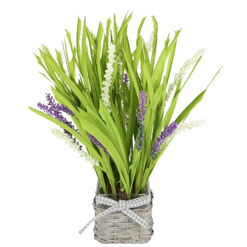 4019844823412 - Kunstpflanze IGEA Grasbusch mit Lavendel im Topf lila (violett weiß) B28cm H40cm L26cm Polyester Kunstpflanzen Künstlicher Grasbund Kunstgras Büschel Bündel Grasarrangement Deko 4019844823412 - Kunstpflanze IGEA Grasbusch mit Lavendel im Topf lila (violett weiß) B28cm H40cm L26cm Polyester Kunstpflanzen Künstlicher Grasbund Kunstgras Büschel Bündel Grasarrangement Deko