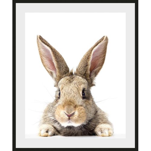 4049009930983 - Bild QUEENCE Joona braun (farbe rahmen schwarz farbe bild(er) braun) B40cm H50cm Acrylglas Papier Holz Bilder HD Premium Poster-Druck inkl Holzrahmen 4049009930983 - Bild QUEENCE Joona braun (farbe rahmen schwarz farbe bild(er) braun) B40cm H50cm Acrylglas Papier Holz Bilder HD Premium Poster-Druck inkl Holzrahmen