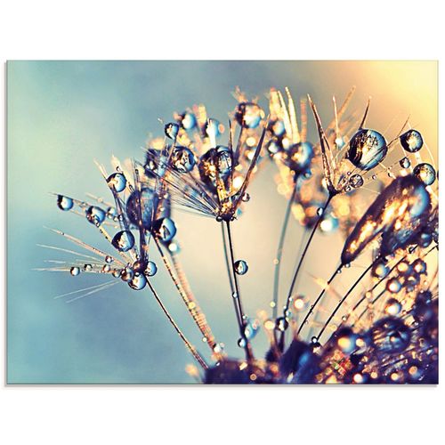 4059745197144 - Glasbild ARTLAND Pusteblume Glitzertau Bilder Gr B H 60 cm x 45 cm Glasbild Blumen Querformat 1 St blau Bild Glasbild Glasbilder Bilder in verschiedenen Größen 4059745197144 - Glasbild ARTLAND Pusteblume Glitzertau Bilder Gr B H 60 cm x 45 cm Glasbild Blumen Querformat 1 St blau Bild Glasbild Glasbilder Bilder in verschiedenen Größen