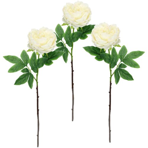 4019844812652 - Kunstblume IGEA Päonie Bauernrose weiß B20cm H60cm L14cm Polyester Kunstpflanzen Pfingstrosen Einzelblume 3er Set 4019844812652 - Kunstblume IGEA Päonie Bauernrose weiß B20cm H60cm L14cm Polyester Kunstpflanzen Pfingstrosen Einzelblume 3er Set
