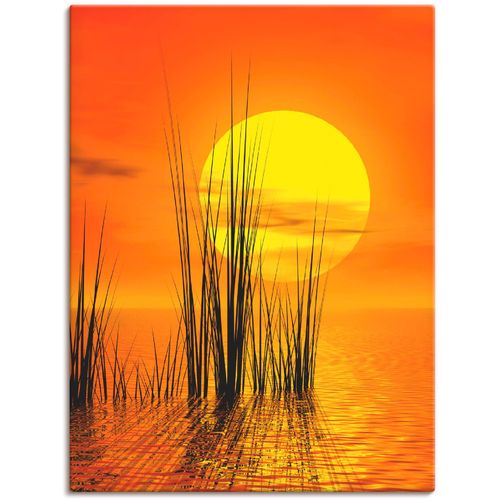 4055327840743 - Wandbild ARTLAND Sonnenuntergang mit Schilf Bilder Gr B H 60 cm x 80 cm Leinwandbild Sonnenaufgang & -untergang 1 St orange Bild Kunstdruck Kunstdrucke Bilder als Leinwandbild Wandaufkleber oder Poster in versch Größen 4055327840743 - Wandbild ARTLAND Sonnenuntergang mit Schilf Bilder Gr B H 60 cm x 80 cm Leinwandbild Sonnenaufgang & -untergang 1 St orange Bild Kunstdruck Kunstdrucke Bilder als Leinwandbild Wandaufkleber oder Poster in versch Größen