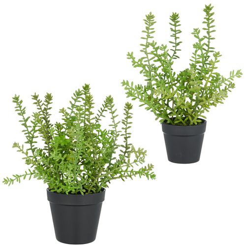 4064118326069 - Kunstpflanze CREATIV GREEN Sedum acre Yellow Queen grün H32cm Kunststoff Kunstpflanzen mit filigranen Sedumzweigen 4064118326069 - Kunstpflanze CREATIV GREEN Sedum acre Yellow Queen grün H32cm Kunststoff Kunstpflanzen mit filigranen Sedumzweigen