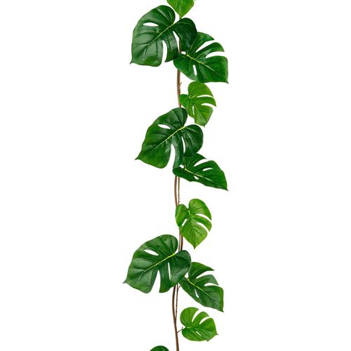 4064118143833 - Kunstgirlande CREATIV GREEN Syngoniumgirlande Kunstpflanzen Gr B L 12 cm x 185 cm grün Kunstgirlande in schöner Länge 4064118143833 - Kunstgirlande CREATIV GREEN Syngoniumgirlande Kunstpflanzen Gr B L 12 cm x 185 cm grün Kunstgirlande in schöner Länge