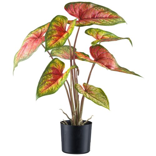 4064118242222 - Kunstblume CREATIV GREEN Caladium grün (grünrot) H55cm Kunststoff Kunstpflanzen mit außergewöhnlicher Farbgebung