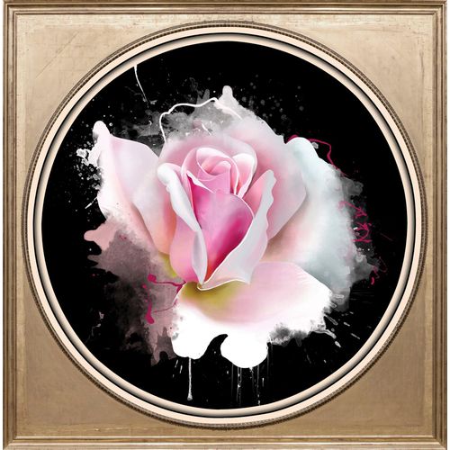 4049009358985 - Acrylglasbild QUEENCE Rosa Rose bunt (farbe bild(er) bunt) B40cm H40cm T3cm Ø5657cm Bilder Fine Art-Print in Galeriequalität 4049009358985 - Acrylglasbild QUEENCE Rosa Rose bunt (farbe bild(er) bunt) B40cm H40cm T3cm Ø5657cm Bilder Fine Art-Print in Galeriequalität