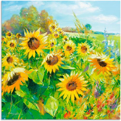 4057738389842 - Wandbild ARTLAND Sommerwiese mit Sonnenblumen Bilder Gr B H 100 cm x 100 cm Alu-Dibond-Druck Blumenwiese 1 St gelb Bild Poster Bilder als Alubild Leinwandbild Wandaufkleber oder in versch Größen 4057738389842 - Wandbild ARTLAND Sommerwiese mit Sonnenblumen Bilder Gr B H 100 cm x 100 cm Alu-Dibond-Druck Blumenwiese 1 St gelb Bild Poster Bilder als Alubild Leinwandbild Wandaufkleber oder in versch Größen