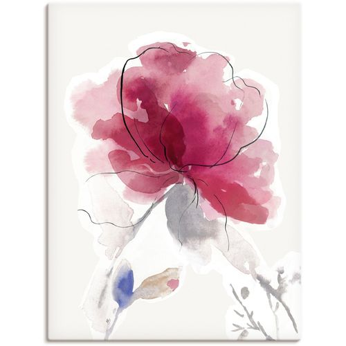 4062144699690 - Wandbild ARTLAND Rosige Blüte II Bilder Gr B H 30 cm x 40 cm Leinwandbild Blumenbilder Hochformat 1 St pink Kunstdrucke als Alubild Leinwandbild Wandaufkleber oder Poster in versch Größen