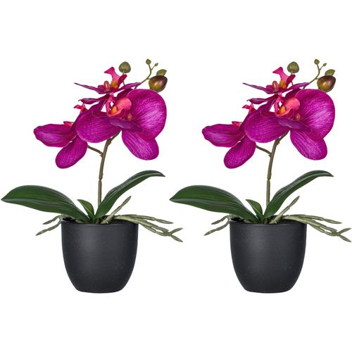 4064118326113 - Kunstorchidee CREATIV GREEN Orchidee Phalaenopsis pink H23cm Kunststoff Kunstpflanzen mit naturgetreuen Blüten 4064118326113 - Kunstorchidee CREATIV GREEN Orchidee Phalaenopsis pink H23cm Kunststoff Kunstpflanzen mit naturgetreuen Blüten