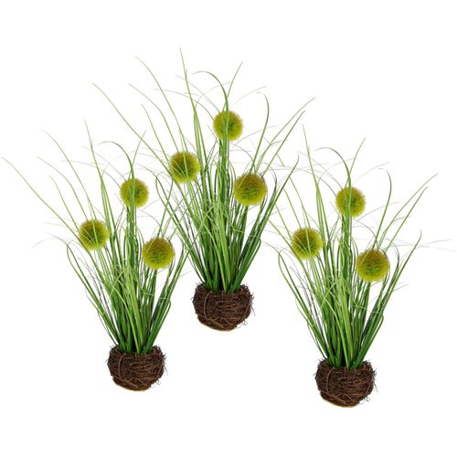 4019844798475 - Kunstgras IGEA Künstliches Gras Knopfgras\ grün B10cm H26cm L10cm Kunststoff Kunstpflanzen Im Reisig-Nest 3er Set 4019844798475 - Kunstgras IGEA Künstliches Gras Knopfgras\ grün B10cm H26cm L10cm Kunststoff Kunstpflanzen Im Reisig-Nest 3er Set