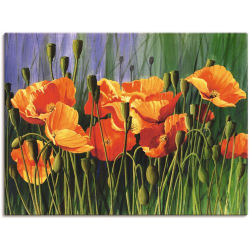 4055327816069 - Wandbild ARTLAND Mohnblumen I Bilder Gr B H 80 cm x 60 cm Leinwandbild Blumen 1 St rot Bild Kunstdruck Kunstdrucke Bilder als Leinwandbild Wandaufkleber oder Poster in versch Größen 4055327816069 - Wandbild ARTLAND Mohnblumen I Bilder Gr B H 80 cm x 60 cm Leinwandbild Blumen 1 St rot Bild Kunstdruck Kunstdrucke Bilder als Leinwandbild Wandaufkleber oder Poster in versch Größen