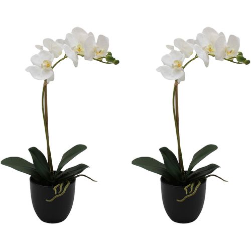 4064118315841 - Kunstorchidee CREATIV GREEN Orchidee Phalaenopsis weiß H45cm Kunststoff Kunstpflanzen mit täuschend echten Blüten 4064118315841 - Kunstorchidee CREATIV GREEN Orchidee Phalaenopsis weiß H45cm Kunststoff Kunstpflanzen mit täuschend echten Blüten