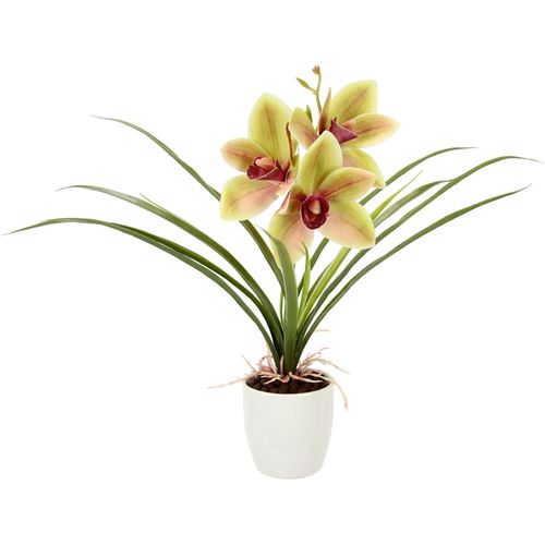 4019844800963 - Kunstblume IGEA Orchidee Kunstpflanzen Gr B H L 26 cm x 32 cm x 16 cm 1 St bunt (grün rot) Kunst-Blumen Mit Blätter im Topf aus Keramik Künstliche Blume Cymbidium-Orchidee 4019844800963 - Kunstblume IGEA Orchidee Kunstpflanzen Gr B H L 26 cm x 32 cm x 16 cm 1 St bunt (grün rot) Kunst-Blumen Mit Blätter im Topf aus Keramik Künstliche Blume Cymbidium-Orchidee