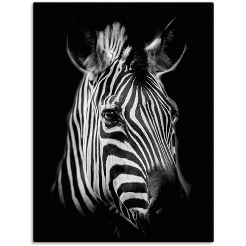 4062144626689 - Wandbild ARTLAND Zebra Bilder Gr B H 60 cm x 80 cm Leinwandbild Zebra Bilder Hochformat 1 St schwarz Kunstdrucke als Alubild Leinwandbild Wandaufkleber oder Poster in versch Größen 4062144626689 - Wandbild ARTLAND Zebra Bilder Gr B H 60 cm x 80 cm Leinwandbild Zebra Bilder Hochformat 1 St schwarz Kunstdrucke als Alubild Leinwandbild Wandaufkleber oder Poster in versch Größen