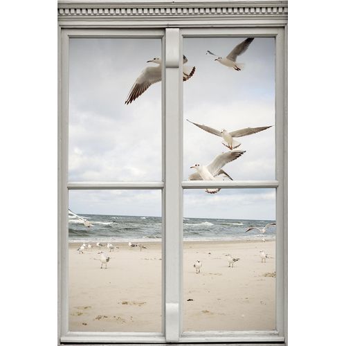 4049009634867 - Wandsticker QUEENCE Möwen am Strand Wandtattoos Gr B H T 40 cm x 60 cm x 01 cm Tiere weiß Wandtattoos Tiere 4049009634867 - Wandsticker QUEENCE Möwen am Strand Wandtattoos Gr B H T 40 cm x 60 cm x 01 cm Tiere weiß Wandtattoos Tiere
