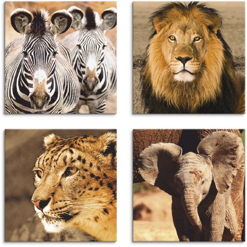 4058661124500 - Leinwandbild ARTLAND Zebras Löwe Schneeleopard Elefanten Bilder Gr B H 20 cm x 20 cm Leinwandbild Wildtiere quadratisch 4 St braun Bild Leinwandbild Leinwandbilder Bilder 4er Set verschiedene Größen 4058661124500 - Leinwandbild ARTLAND Zebras Löwe Schneeleopard Elefanten Bilder Gr B H 20 cm x 20 cm Leinwandbild Wildtiere quadratisch 4 St braun Bild Leinwandbild Leinwandbilder Bilder 4er Set verschiedene Größen