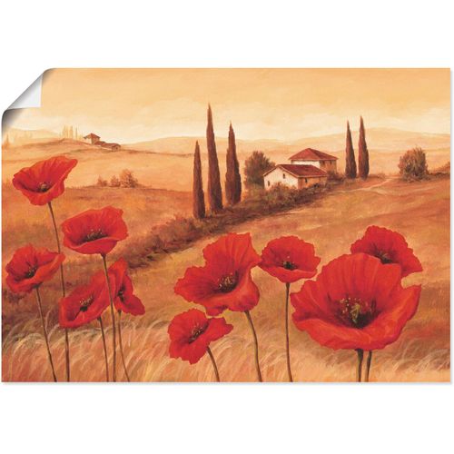 4055327300216 - Wandbild ARTLAND Mohnblumen in der Toskana Bilder Gr B H 70 cm x 50 cm Poster Europa 1 St braun Bild Poster Bilder als Alubild Leinwandbild Wandaufkleber oder in versch Größen 4055327300216 - Wandbild ARTLAND Mohnblumen in der Toskana Bilder Gr B H 70 cm x 50 cm Poster Europa 1 St braun Bild Poster Bilder als Alubild Leinwandbild Wandaufkleber oder in versch Größen