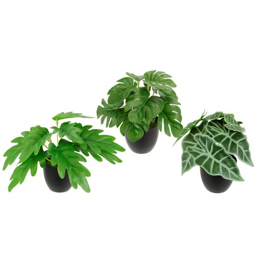 4019844818876 - Kunstpflanze IGEA Künstliches Zimmerpflanzen-Set grün B16cm H17cm L14cm Polyester Kunstpflanzen Im Topf 3er Set Grünpflanzen Zimmerpflanze Monstera Philo Calathea