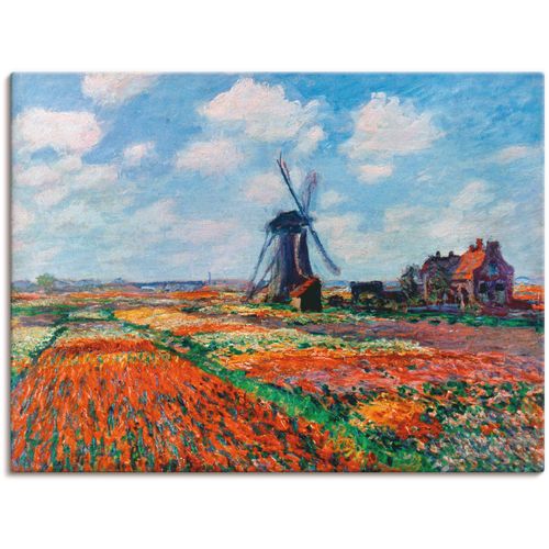 4059745083485 - Wandbild ARTLAND Tulpenfelder in Holland 1886 Bilder Gr B H 40 cm x 30 cm Leinwandbild Blumenwiese Querformat 1 St rot Bild Leinwandbild Kunstdrucke Bilder als Alubild Leinwandbild Wandaufkleber oder Poster in versch Größen 4059745083485 - Wandbild ARTLAND Tulpenfelder in Holland 1886 Bilder Gr B H 40 cm x 30 cm Leinwandbild Blumenwiese Querformat 1 St rot Bild Leinwandbild Kunstdrucke Bilder als Alubild Leinwandbild Wandaufkleber oder Poster in versch Größen