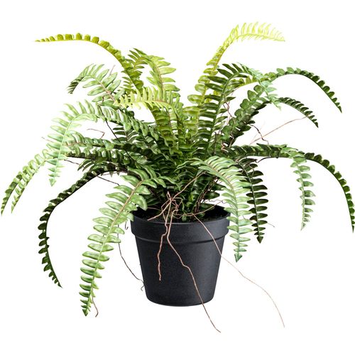 4064118182368 - Kunstpflanze CREATIV GREEN Waldfarn grün H35cm Ø50cm Kunstpflanzen mit Wurzeln 4064118182368 - Kunstpflanze CREATIV GREEN Waldfarn grün H35cm Ø50cm Kunstpflanzen mit Wurzeln