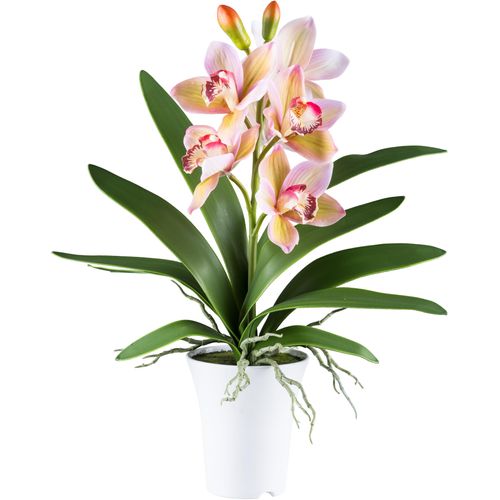 4064118241188 - Kunstorchidee CREATIV GREEN Orchidee Cymbidie grün H53cm Kunststoff Kunstpflanzen mit real-touch-Blüten 4064118241188 - Kunstorchidee CREATIV GREEN Orchidee Cymbidie grün H53cm Kunststoff Kunstpflanzen mit real-touch-Blüten