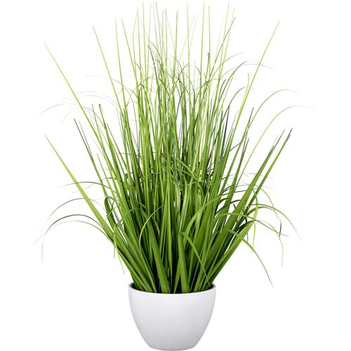 4064118319702 - Kunstgras CREATIV GREEN Grasbusch grün H58cm Kunststoff Kunstpflanzen mit zahlreichen Grashalmen 4064118319702 - Kunstgras CREATIV GREEN Grasbusch grün H58cm Kunststoff Kunstpflanzen mit zahlreichen Grashalmen