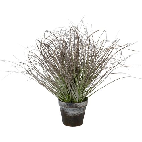 4064118998969 - Winterliche Kunstpflanze CREATIV GREEN Weihnachtsdeko grün H45cm Ø45cm Kunststoff Kunstpflanzen in geeister Optik im Topf 4064118998969 - Winterliche Kunstpflanze CREATIV GREEN Weihnachtsdeko grün H45cm Ø45cm Kunststoff Kunstpflanzen in geeister Optik im Topf