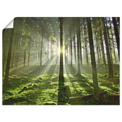 4055327636148 - Wandbild ARTLAND Wald im Gegenlicht Bilder Gr B H 40 cm x 30 cm Poster Wald Querformat 1 St grün Bild Poster Bilder als Alubild Leinwandbild Wandaufkleber oder in versch Größen 4055327636148 - Wandbild ARTLAND Wald im Gegenlicht Bilder Gr B H 40 cm x 30 cm Poster Wald Querformat 1 St grün Bild Poster Bilder als Alubild Leinwandbild Wandaufkleber oder in versch Größen
