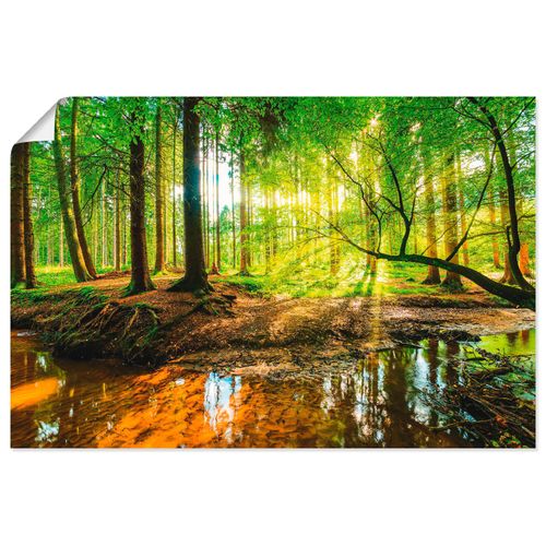 4059745929684 - Wandbild ARTLAND Wald mit Bach Bilder Gr B H 60 cm x 40 cm Poster Wald Querformat 1 St grün Bild Poster Bilder als Alubild Leinwandbild Wandaufkleber oder in versch Größen 4059745929684 - Wandbild ARTLAND Wald mit Bach Bilder Gr B H 60 cm x 40 cm Poster Wald Querformat 1 St grün Bild Poster Bilder als Alubild Leinwandbild Wandaufkleber oder in versch Größen