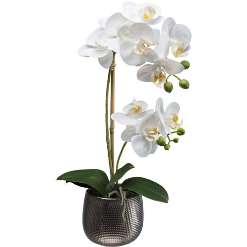 4064118240464 - Kunstorchidee CREATIV GREEN Orchidee Phalaenopsis weiß H48cm Kunststoff Kunstpflanzen mit real-touch-Blüten 4064118240464 - Kunstorchidee CREATIV GREEN Orchidee Phalaenopsis weiß H48cm Kunststoff Kunstpflanzen mit real-touch-Blüten