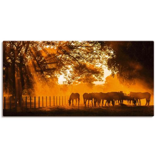 4057738313861 - Wandbild ARTLAND Goldenes Licht auf der Pferdewiese Bilder Gr B H 150 cm x 75 cm Leinwandbild Haustiere Querformat 1 St orange Bild Poster Bilder als Alubild Leinwandbild Wandaufkleber oder in versch Größen