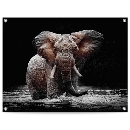 8714597638738 - Poster REINDERS Elefant braun (farbe bild(er) braun) B80cm H60cm T01cm Leinwand Bilder Outdoor für Garten oder Balkon 8714597638738 - Poster REINDERS Elefant braun (farbe bild(er) braun) B80cm H60cm T01cm Leinwand Bilder Outdoor für Garten oder Balkon