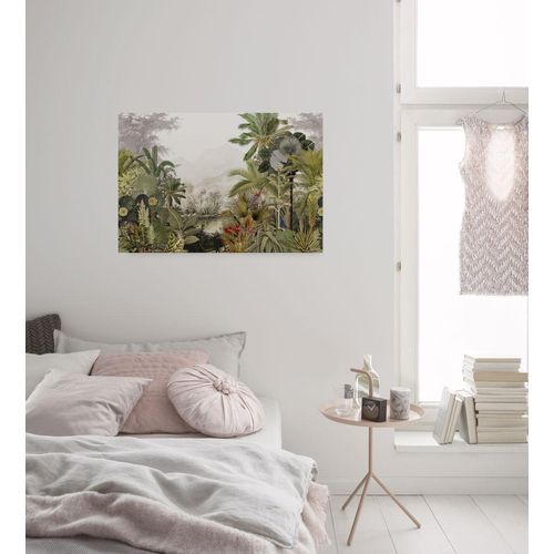 4055065031373 - Leinwandbild KOMAR Hiding Parrot - Größe 60 x 90 cm bunt (farbe bild(er) bunt) B60cm Papier Holz Bilder Keilrahmenbild mi Echtholzrahmen 4055065031373 - Leinwandbild KOMAR Hiding Parrot - Größe 60 x 90 cm bunt (farbe bild(er) bunt) B60cm Papier Holz Bilder Keilrahmenbild mi Echtholzrahmen