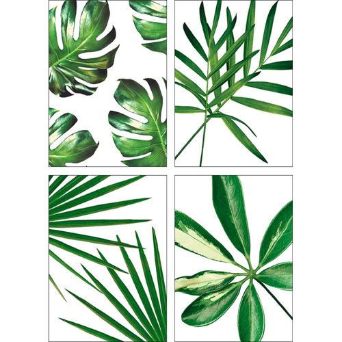 4062144315828 - Poster ARTLAND Blätter Bilder Gr B H 297 cm x 42 cm Poster Blätter Hochformat 4 St grün Poster Bilder Poster Wandbild Bild Wandposter 4062144315828 - Poster ARTLAND Blätter Bilder Gr B H 297 cm x 42 cm Poster Blätter Hochformat 4 St grün Poster Bilder Poster Wandbild Bild Wandposter
