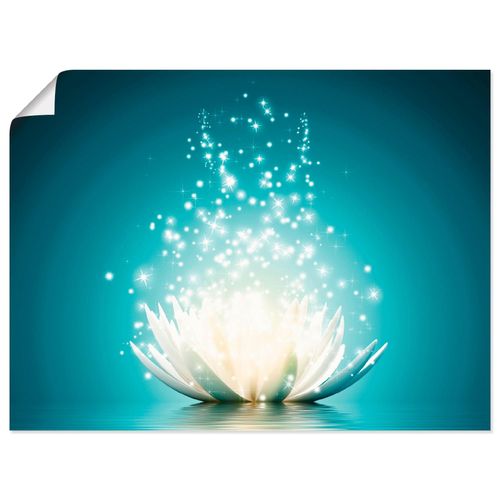 4055327639170 - Wandbild ARTLAND Magie der Lotus-Blume Bilder Gr B H 80 cm x 60 cm Poster Blumen Querformat 1 St blau Bild Poster Bilder als Alubild Leinwandbild Wandaufkleber oder in versch Größen