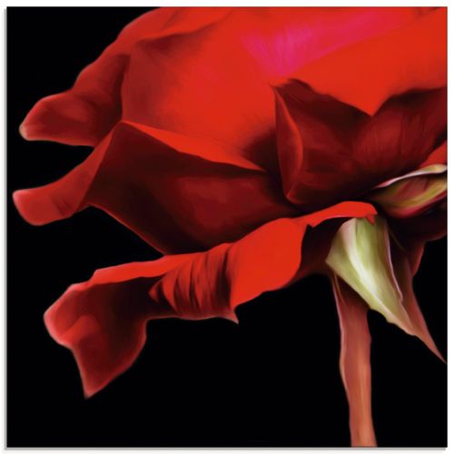 4062144136089 - Glasbild ARTLAND Rote Rose Bilder Gr B H 50 cm x 50 cm Glasbild Blumen quadratisch 1 St rot Bild Glasbild Glasbilder Bilder in verschiedenen Größen 4062144136089 - Glasbild ARTLAND Rote Rose Bilder Gr B H 50 cm x 50 cm Glasbild Blumen quadratisch 1 St rot Bild Glasbild Glasbilder Bilder in verschiedenen Größen