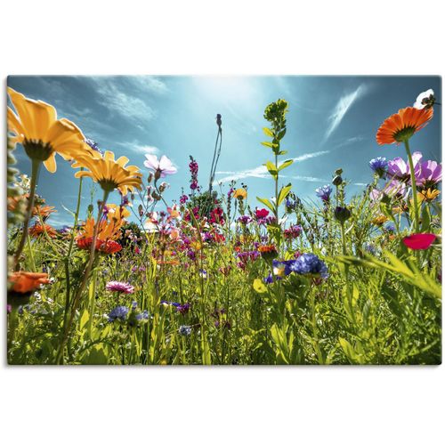 4062144669310 - Wandbild ARTLAND Buntes Blumenfeld Bilder Gr B H 30 cm x 20 cm Leinwandbild Blumenwiese Querformat 1 St bunt Kunstdrucke als Alubild Leinwandbild Wandaufkleber oder Poster in versch Größen 4062144669310 - Wandbild ARTLAND Buntes Blumenfeld Bilder Gr B H 30 cm x 20 cm Leinwandbild Blumenwiese Querformat 1 St bunt Kunstdrucke als Alubild Leinwandbild Wandaufkleber oder Poster in versch Größen