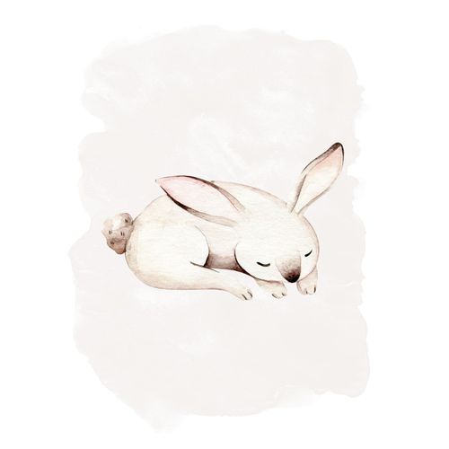 4055065200120 - Bild KOMAR Sleepy Bunny schwarz (farbe bild(er) schwarz weiß) B40cm H50cm Papier Holz Bilder Wandbild zur Dekoration - ohne Rahmen