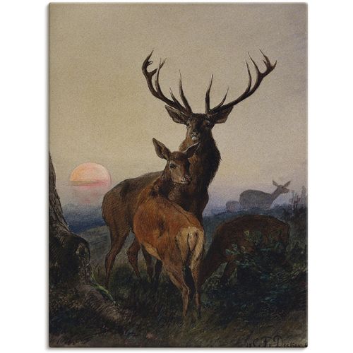 4055327120579 - Wandbild ARTLAND Hirsch und ein Reh bei Sonnenuntergang braun Bilder B H 60cm x 80cm Leinwandbild Wildtiere Canvas Leinwand als Leinwandbild Poster Wandaufkleber in verschied Größen B60cm H80cm 4055327120579 - Wandbild ARTLAND Hirsch und ein Reh bei Sonnenuntergang braun Bilder B H 60cm x 80cm Leinwandbild Wildtiere Canvas Leinwand als Leinwandbild Poster Wandaufkleber in verschied Größen B60cm H80cm